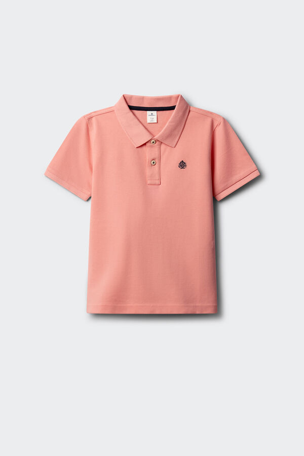 Springfield Kids Polo b&aacute;sico menino castanho