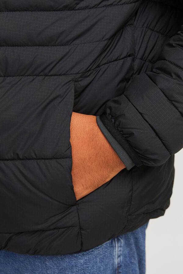 Jack & Jones PLUS Blusão acolchoada leve PLUS preto