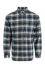 Jack & Jones PLUS Camisa xadrez b&aacute;sica azul