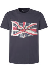 Pepe Jeans Camiseta hombre de manga corta con fotoprint de bandera. gris