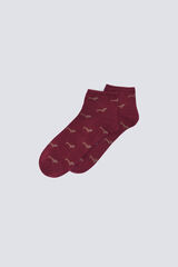 Springfield Meias curtas para cães estampado