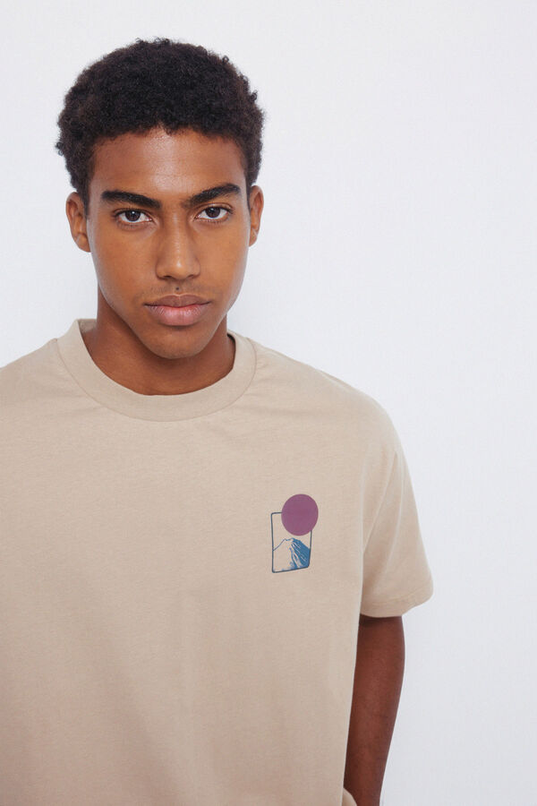 Springfield Mount Fuji T-shirt grey