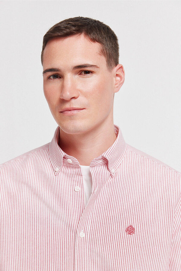 Springfield Camisa oxford &agrave;s riscas sem vincos vermelho