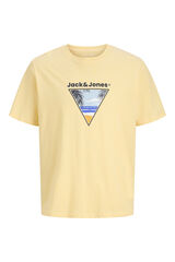 Jack & Jones Cotton short sleeve T-shirt printed