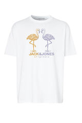 Jack & Jones PLUS Camiseta regular fit Plus estampa branco