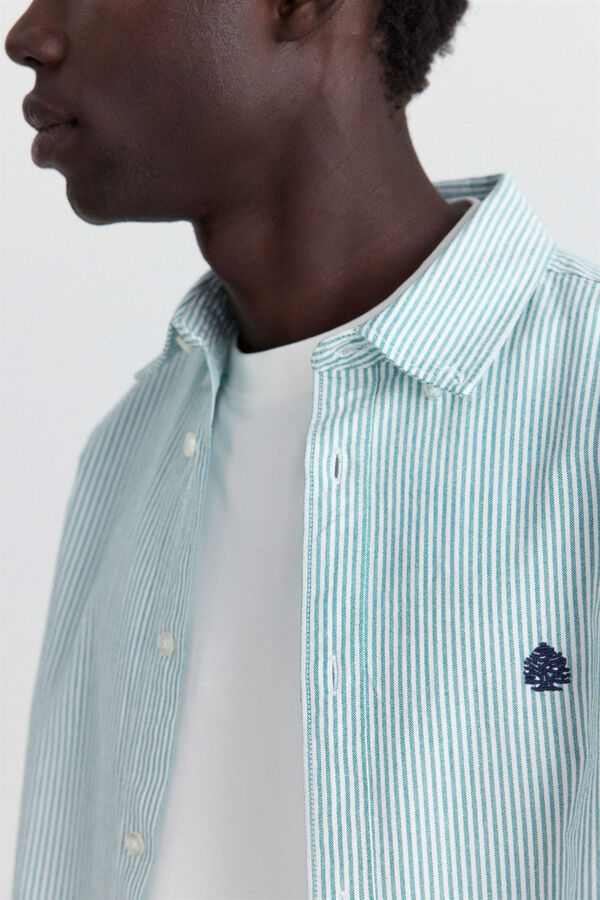 Springfield Camisa oxford &agrave;s riscas verde