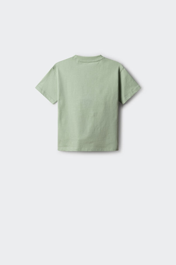Springfield Kids T-shirt Spiderman menino verde