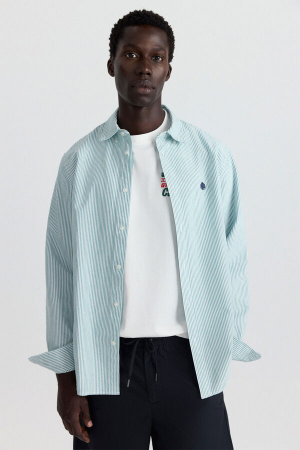 Springfield Camisa oxford &agrave;s riscas verde
