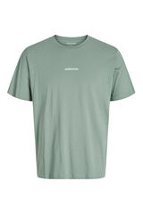 Jack & Jones T-shirt back print verde