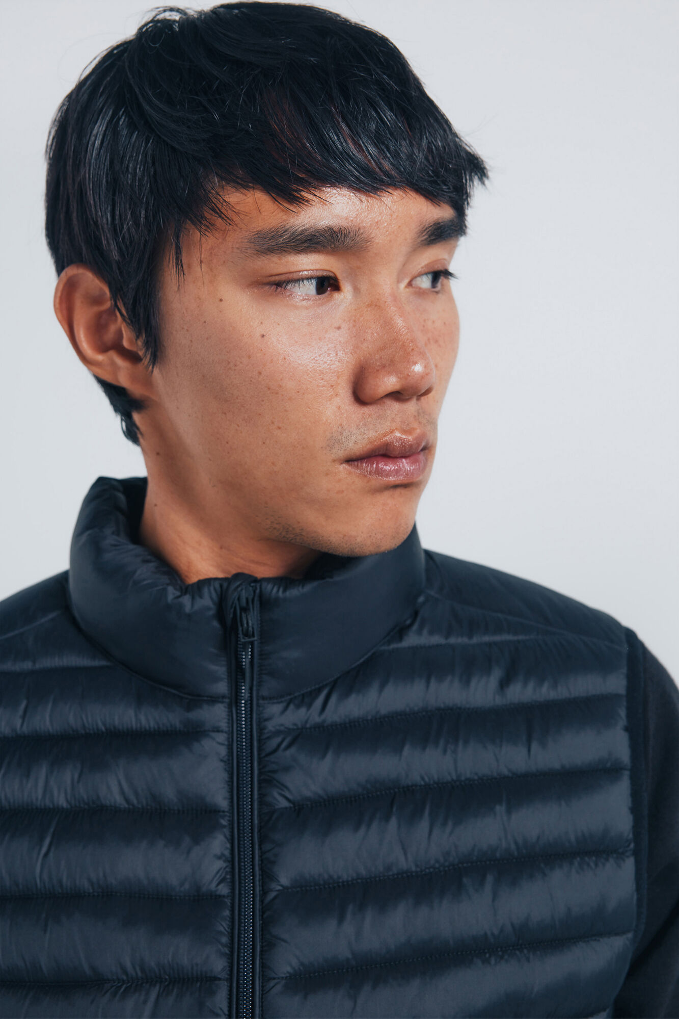 Springfield Colete acolchoado