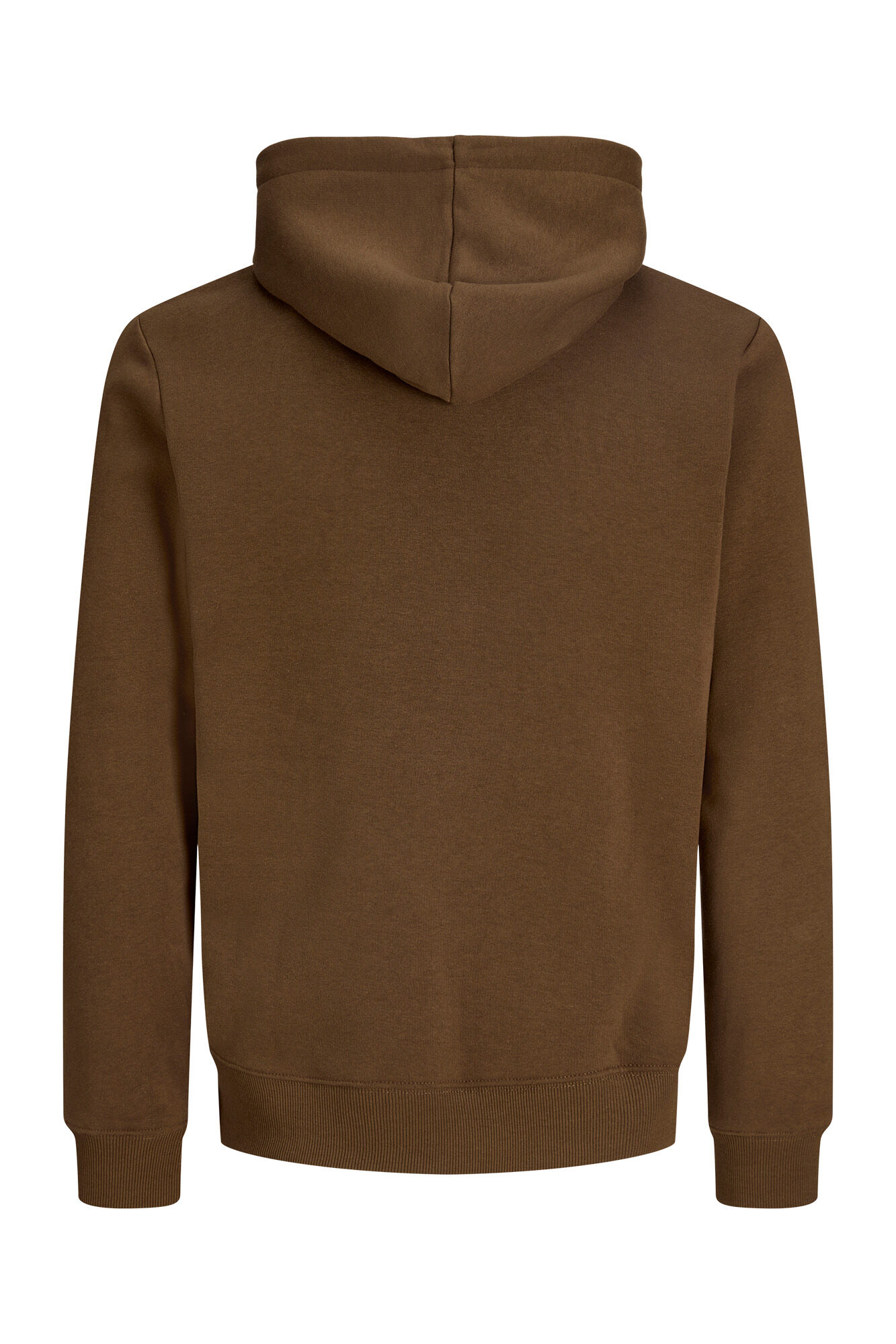 Jack & Jones PLUS Sudadera regular con capucha