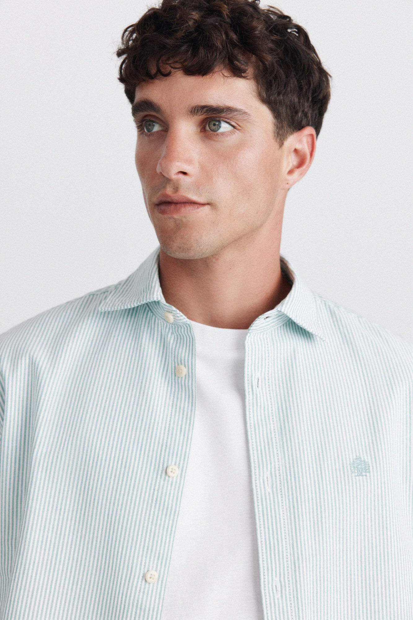 Springfield Camisa de manga curta oxford riscas