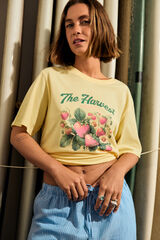 Springfield "The Harvest" T-shirt white