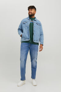 Springfield PLUS Glenn slim fit jeans bluish