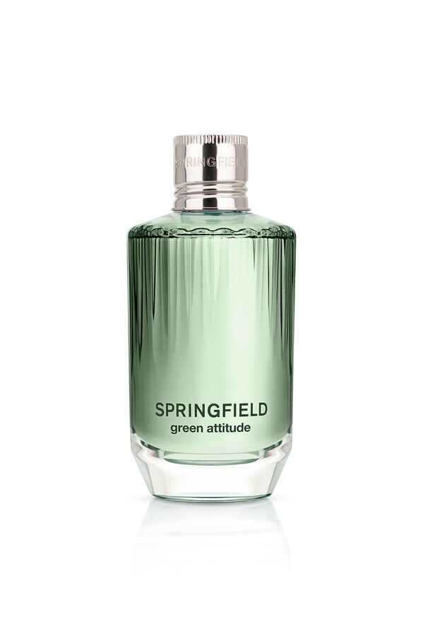 Springfield GREEN ATTITUDE azul