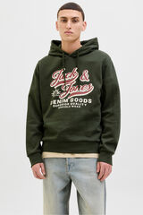 Jack & Jones Sweatshirt de regular fit verde