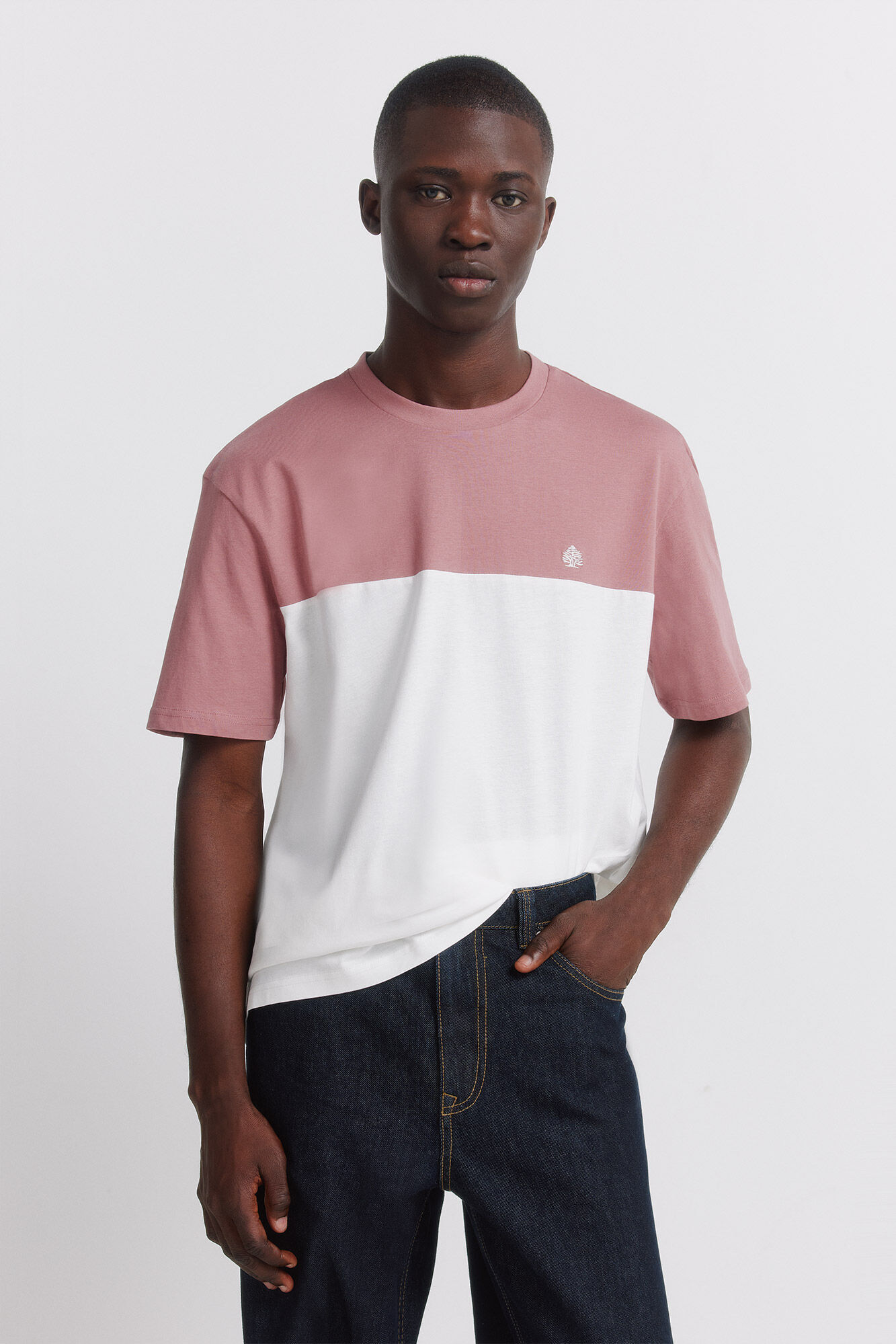 Springfield T-shirt bloco de cor