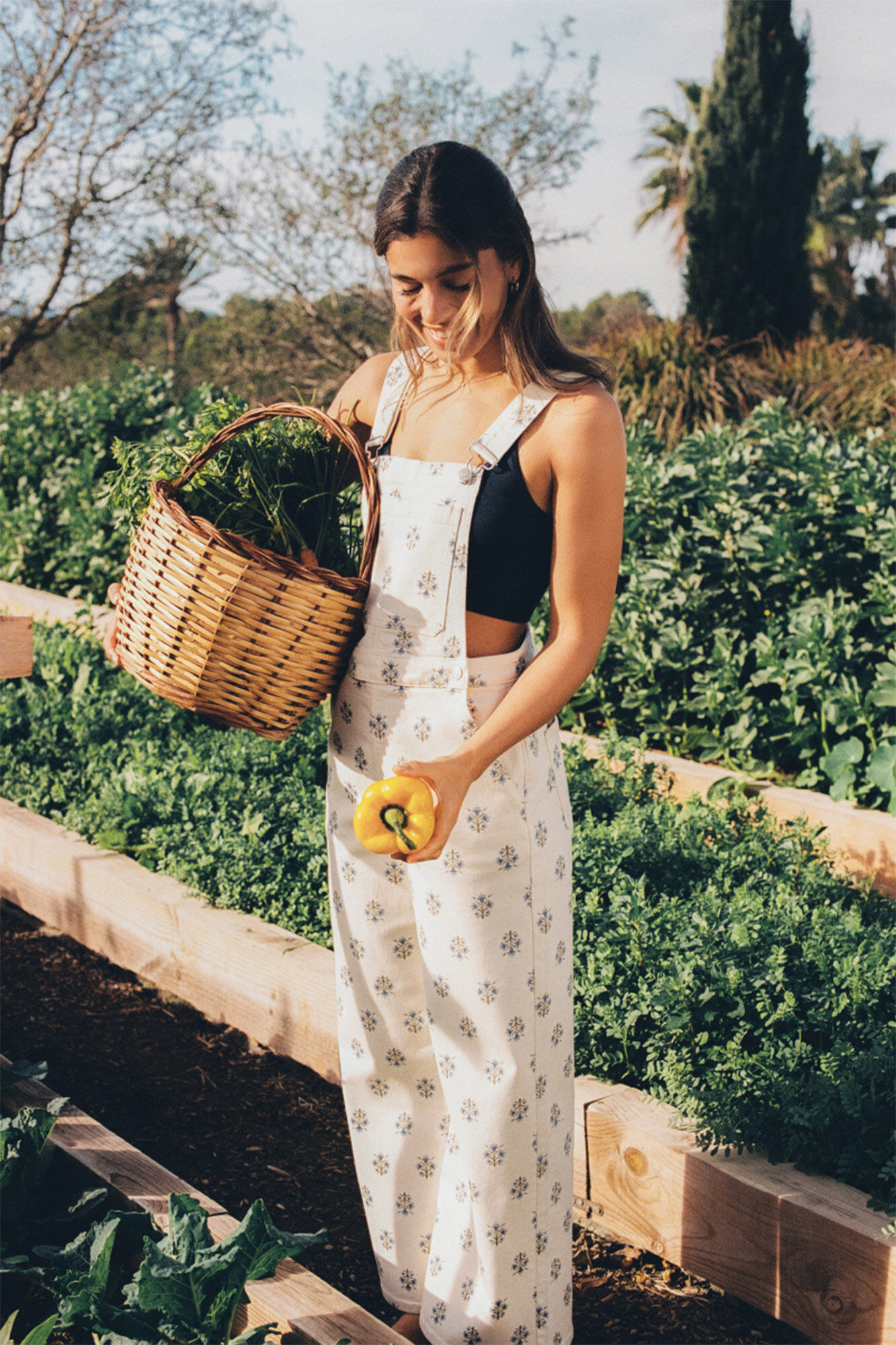 High Spirits Mono Honey