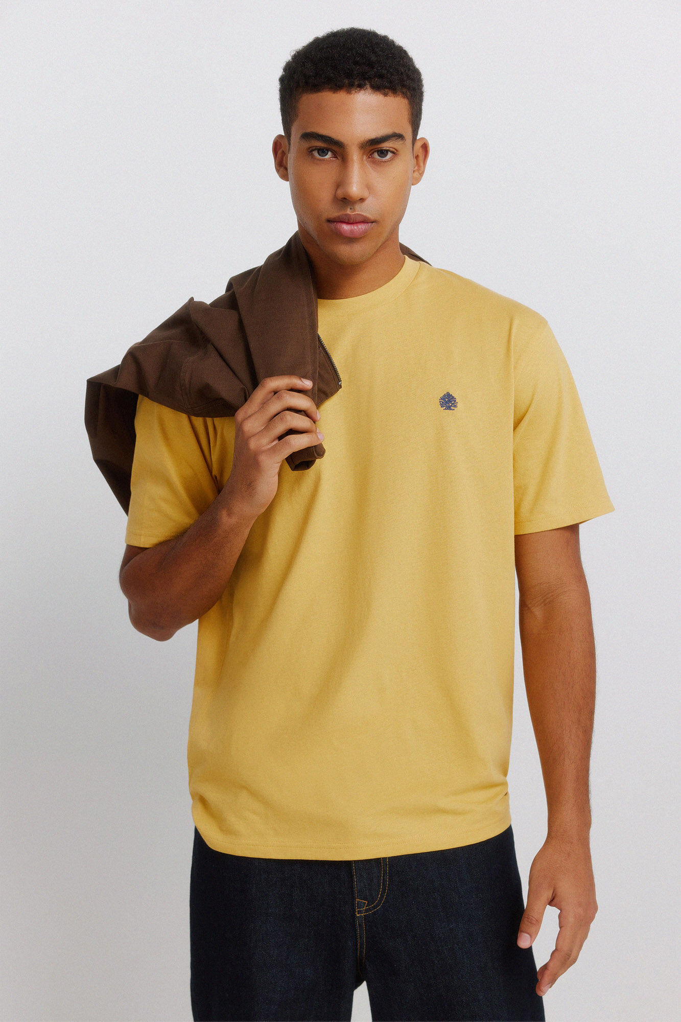 Springfield Springfield logo basic T-shirt