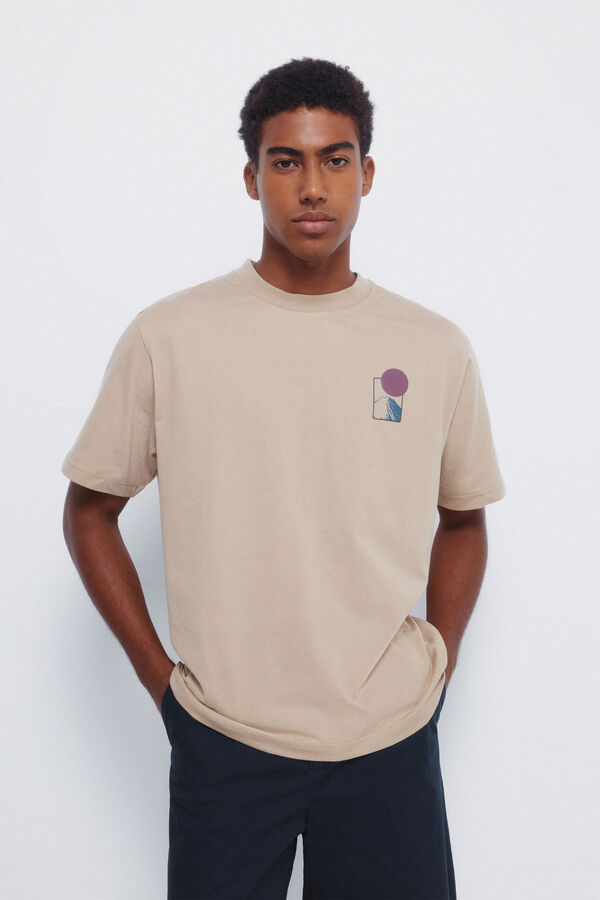 Springfield Mount Fuji T-shirt grey