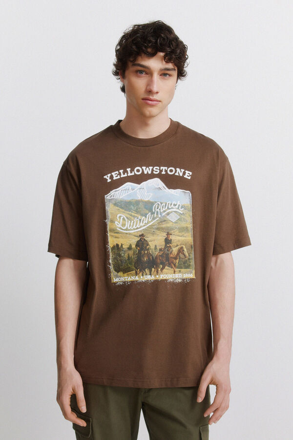 Springfield T-shirt Yellowstone cru