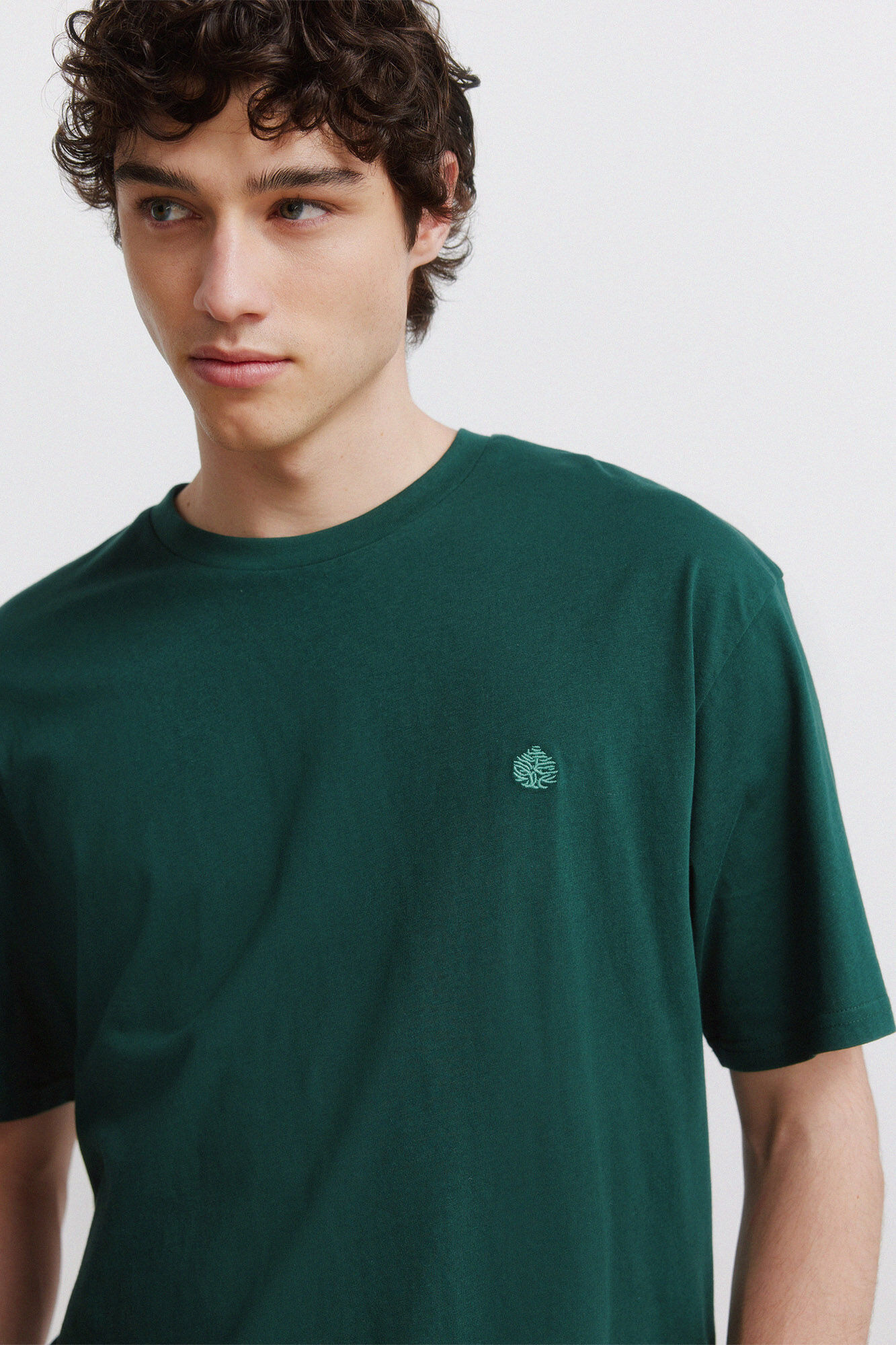 Springfield Springfield logo basic T-shirt