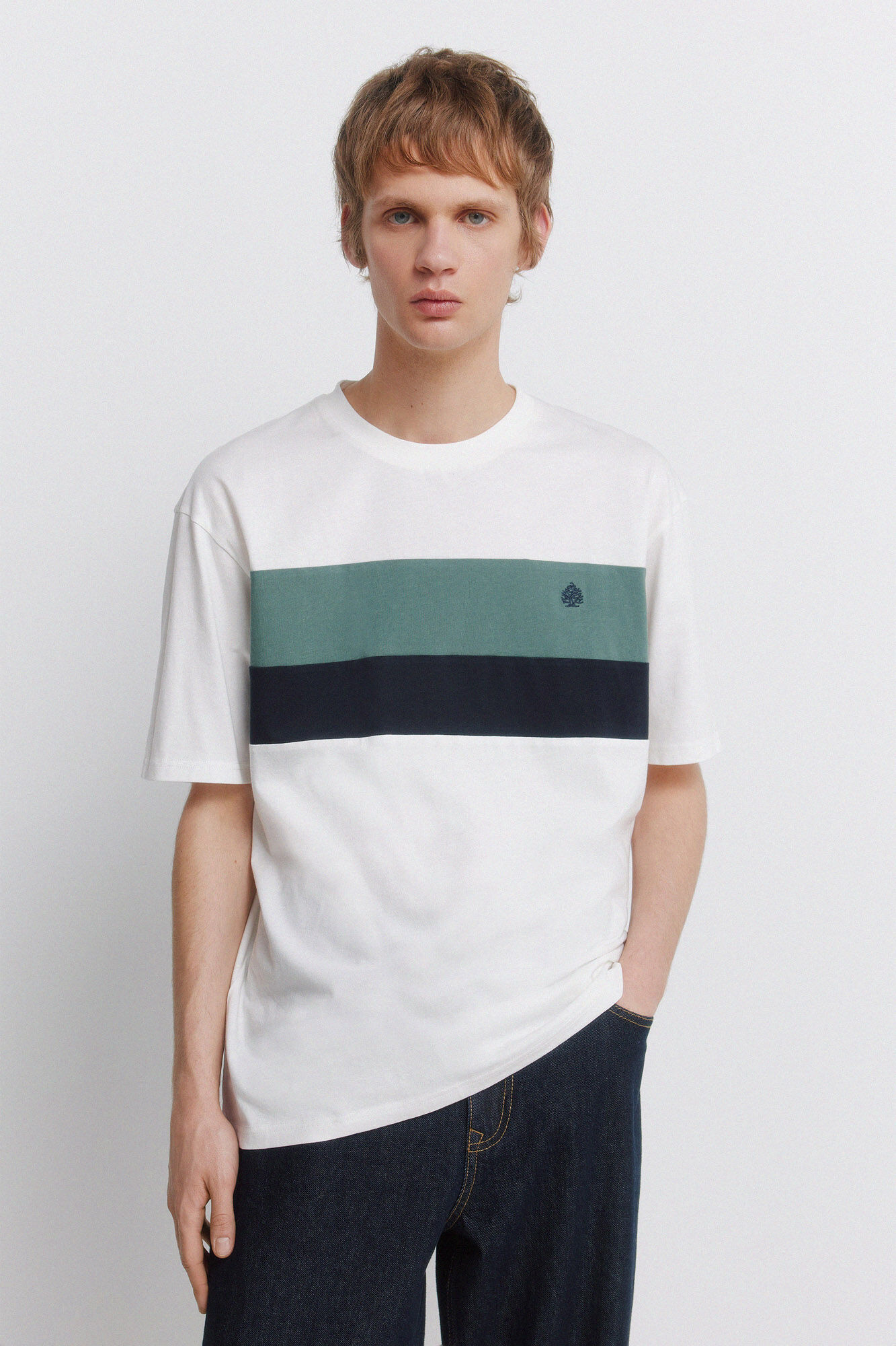 Springfield cortes de camisetas