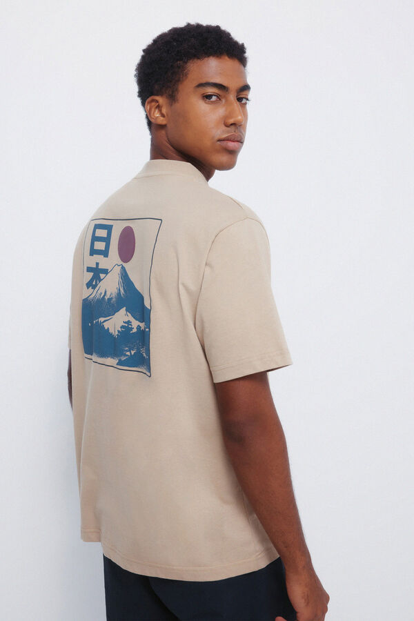 Springfield Mount Fuji T-shirt grey