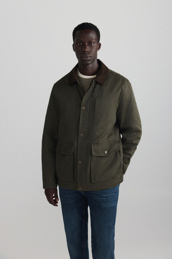 Springfield Parka curta gola de bombazina bege