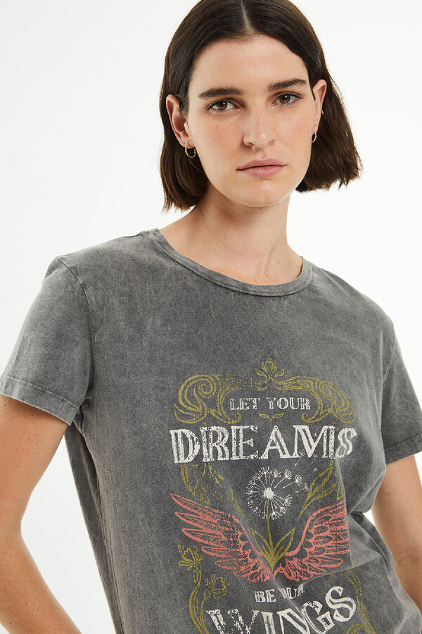 Springfield Oversized short sleeve t-shirt with wings print gray