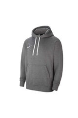 Nike Sudadera con capucha Nike Park 20 gris