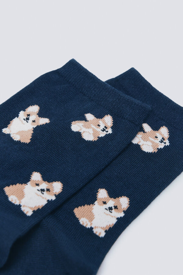 Springfield Meia de lebre longa azul