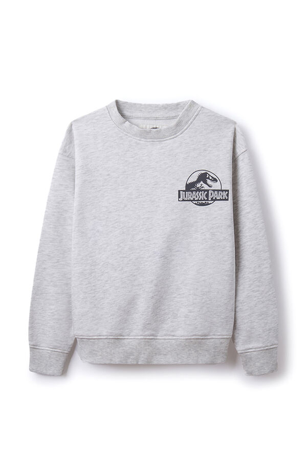 Springfield Boys' Jurassic Park sweatshirt grey