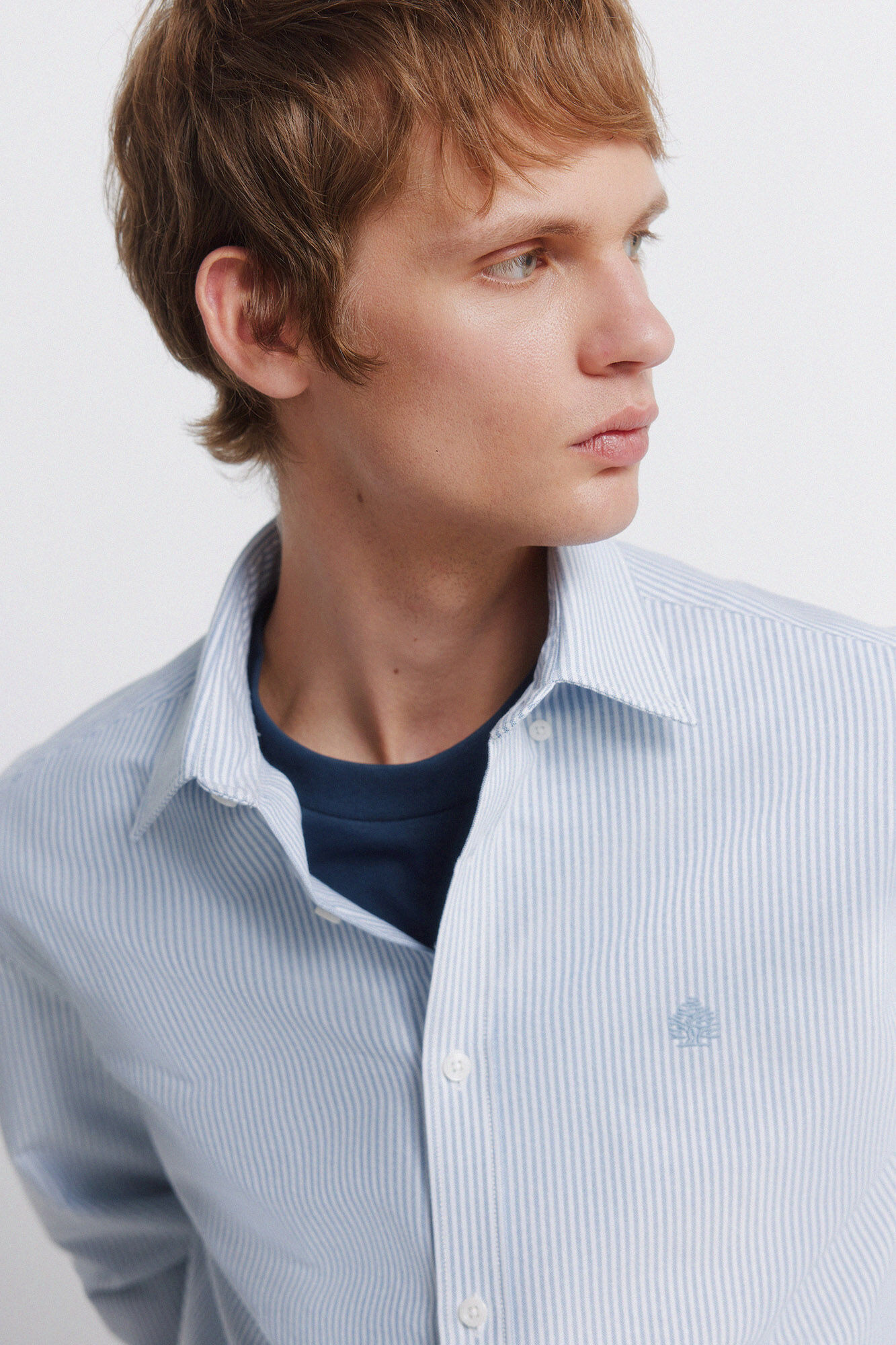 Springfield Camisa oxford &agrave;s riscas sem vincos