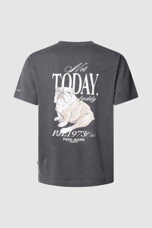 Pepe Jeans T-shirt Terry cinzento