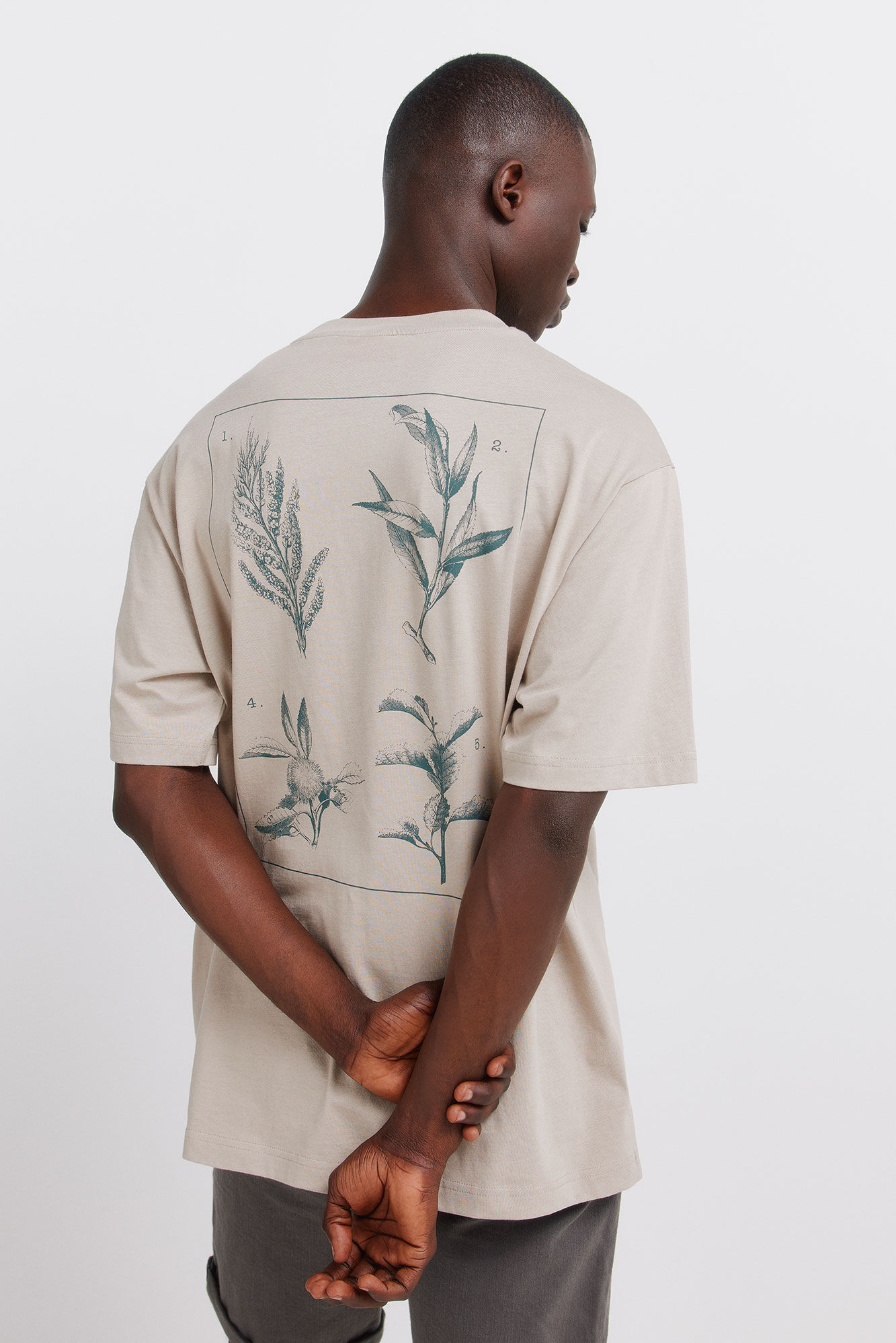 Springfield T-shirt natural