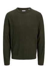 Jack & Jones Camisola de ajuste regular verde