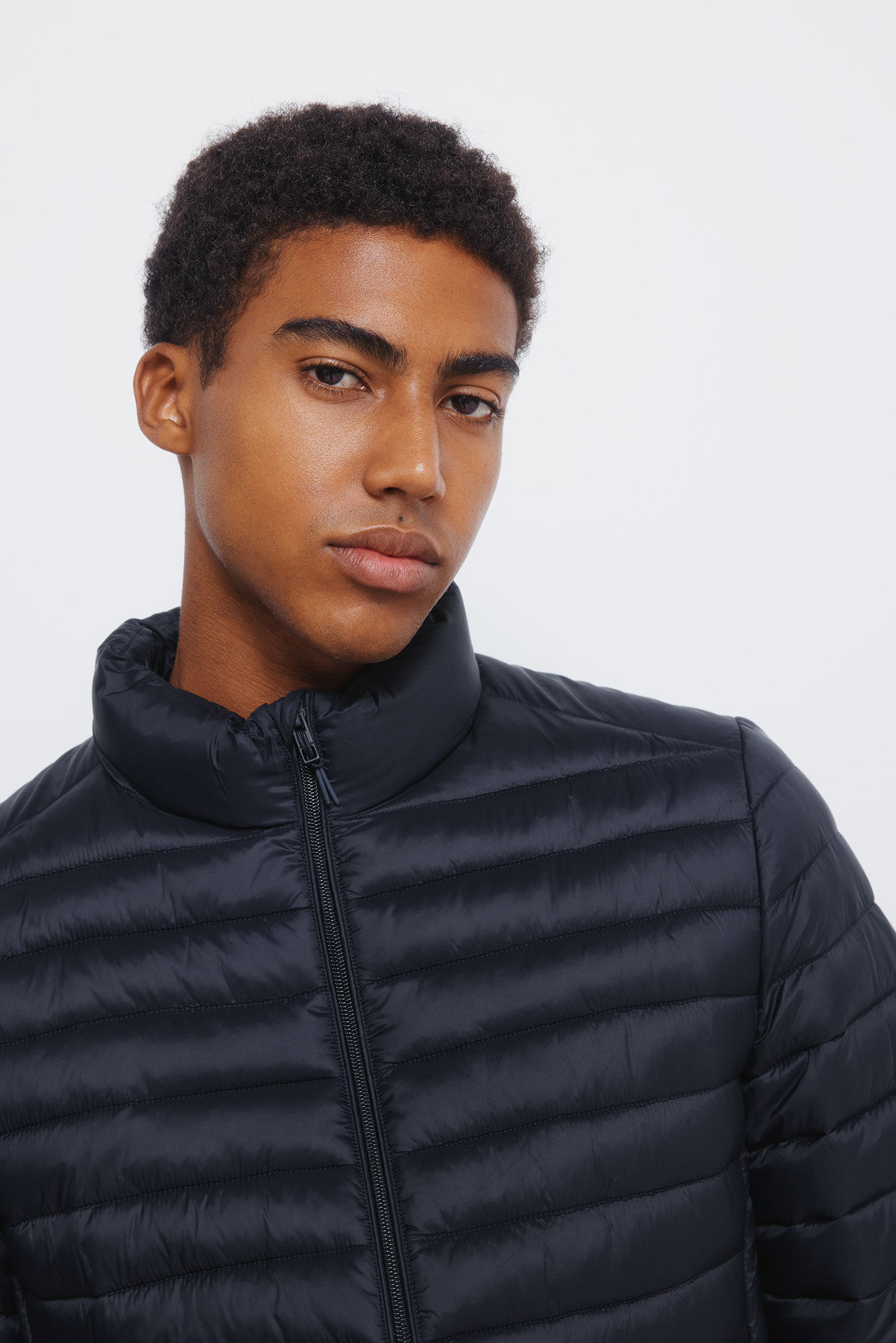 Springfield Casaco acolchoada