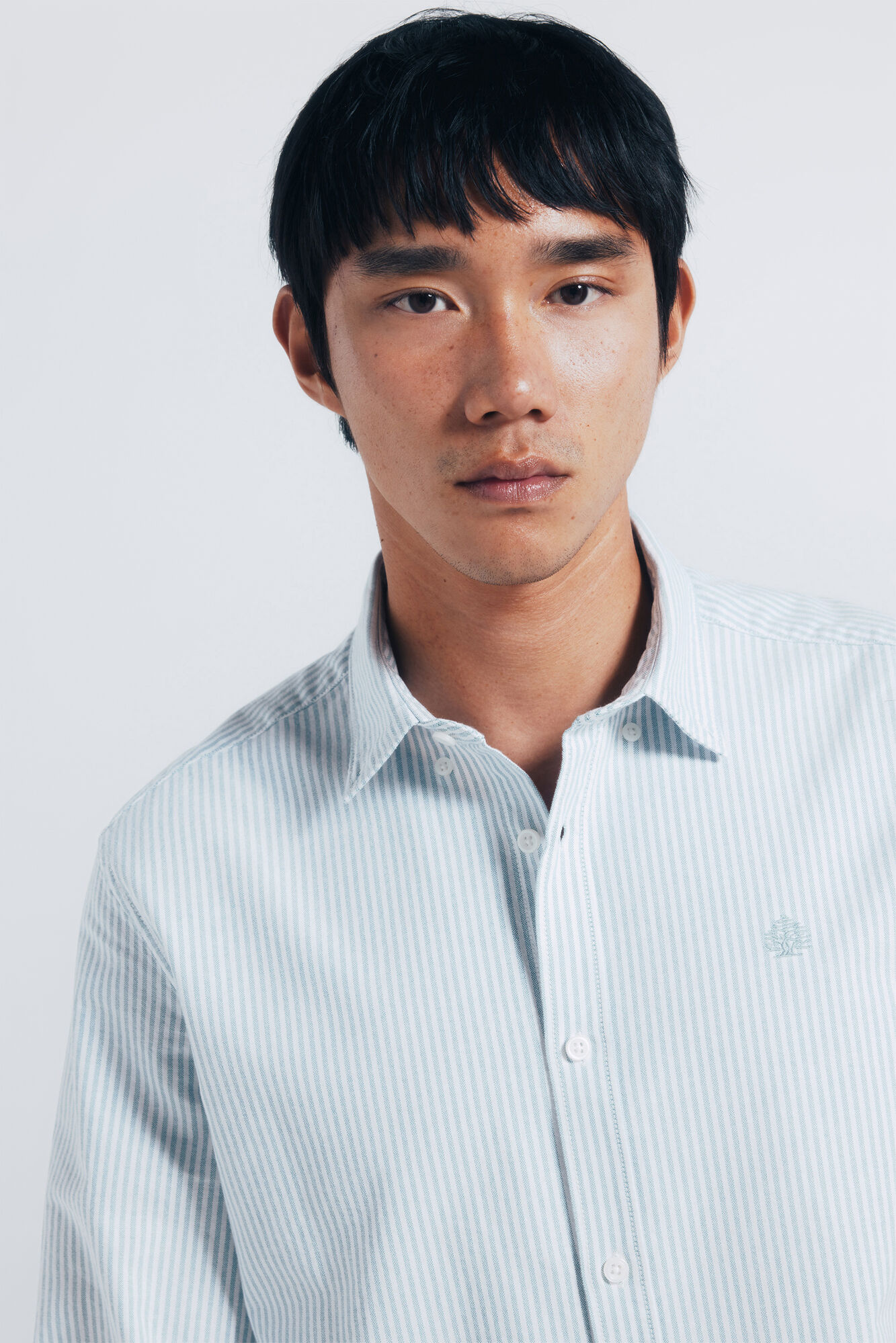 Springfield Camisa oxford rayas