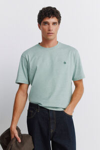 Springfield T-shirt b&aacute;sica microrrisca