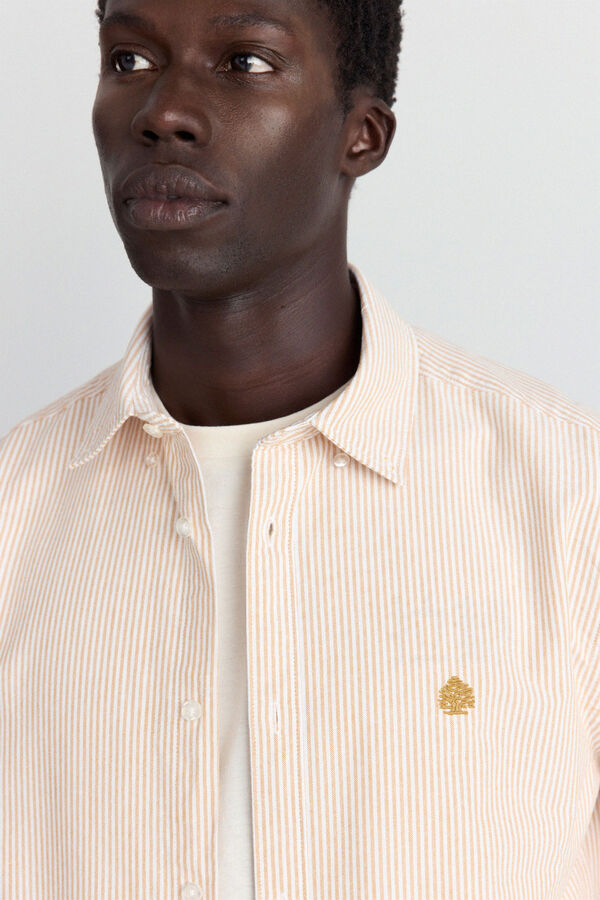 Springfield Camisa oxford &agrave;s riscas estampado
