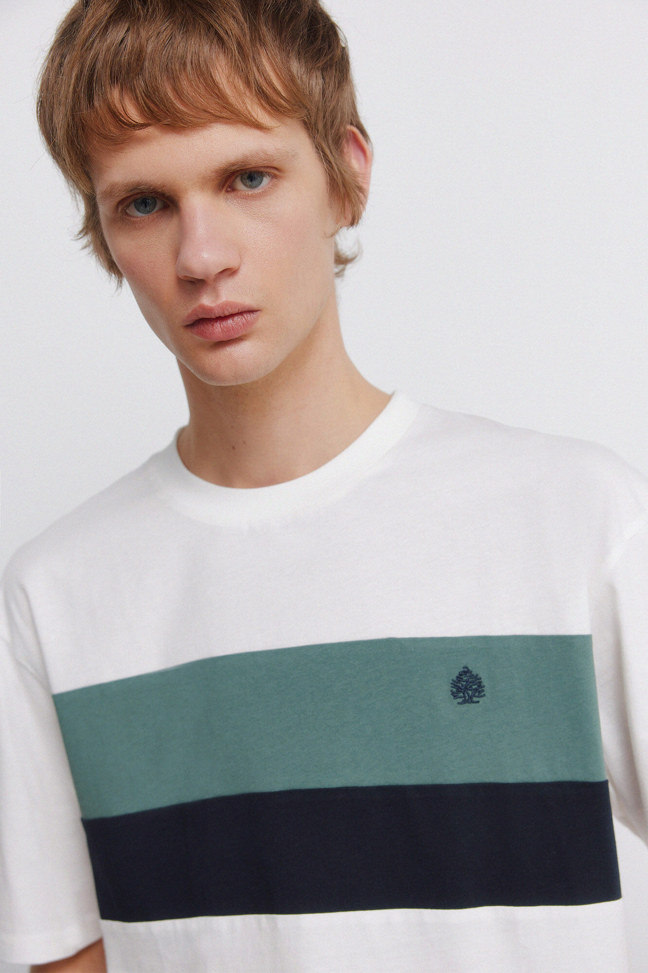 Springfield cortes de camisetas