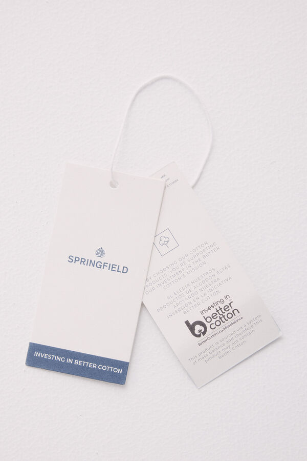 Springfield "Daily fresh seafood" T-shirt grey