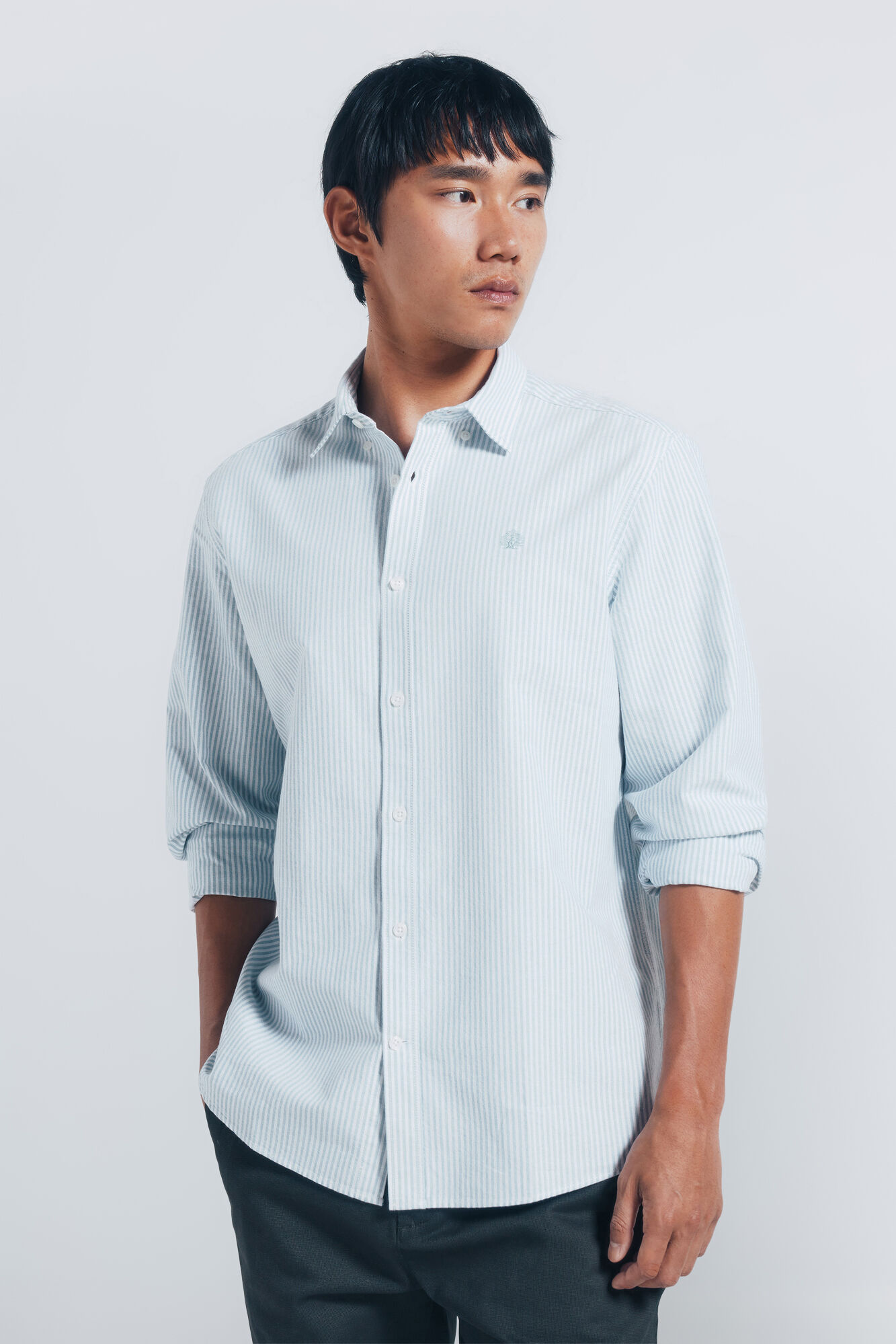 Springfield Camisa oxford rayas