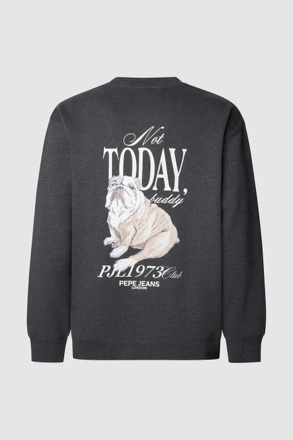 Pepe Jeans Sweatshirt Terry cinzento