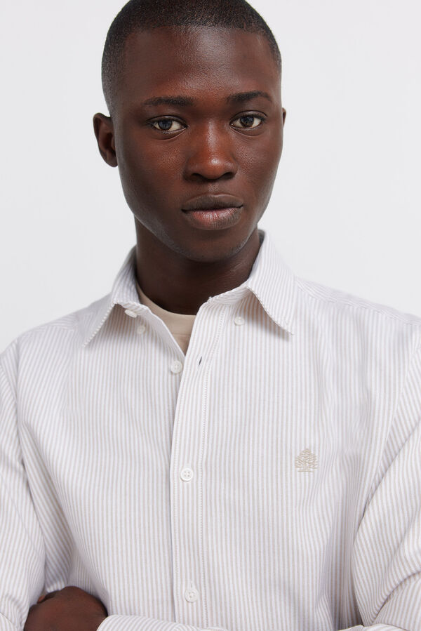 Springfield Camisa oxford &agrave;s riscas sem vincos castanho