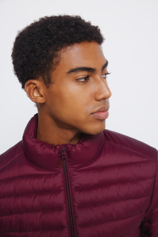 Springfield Casaco acolchoada estampado