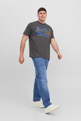 Jack & Jones PLUS Jeans retos cinco bolsos azul