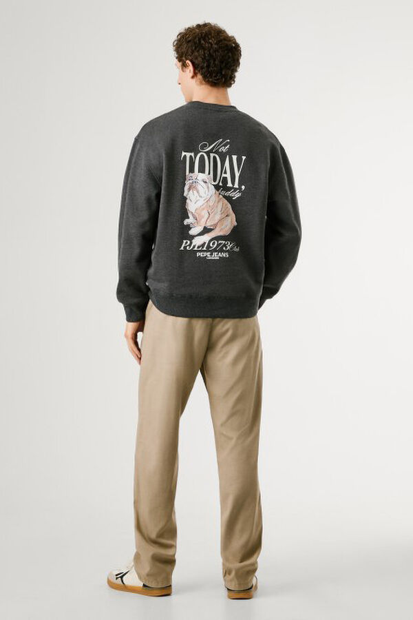 Pepe Jeans Sweatshirt Terry cinzento