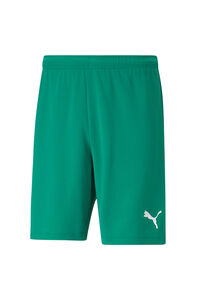 Springfield teamRISE Shorts green